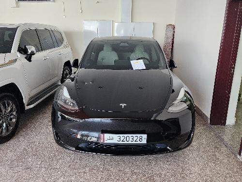 Tesla Model Y Performance 