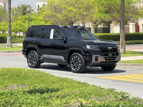 بي واي دي ... 2025