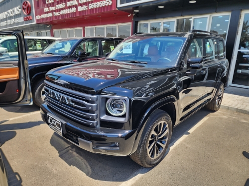 هافال اتش 9  2025