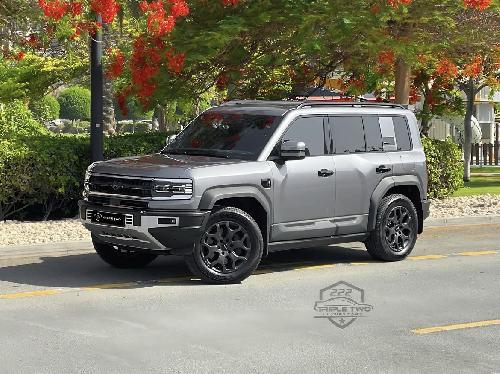 بي واي دي  ليوبارد 
